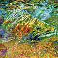 Steelhead 2